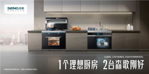 冠軍的理想廚房需要具備哪些核心要素 國民品質(zhì)2臺森歌剛好